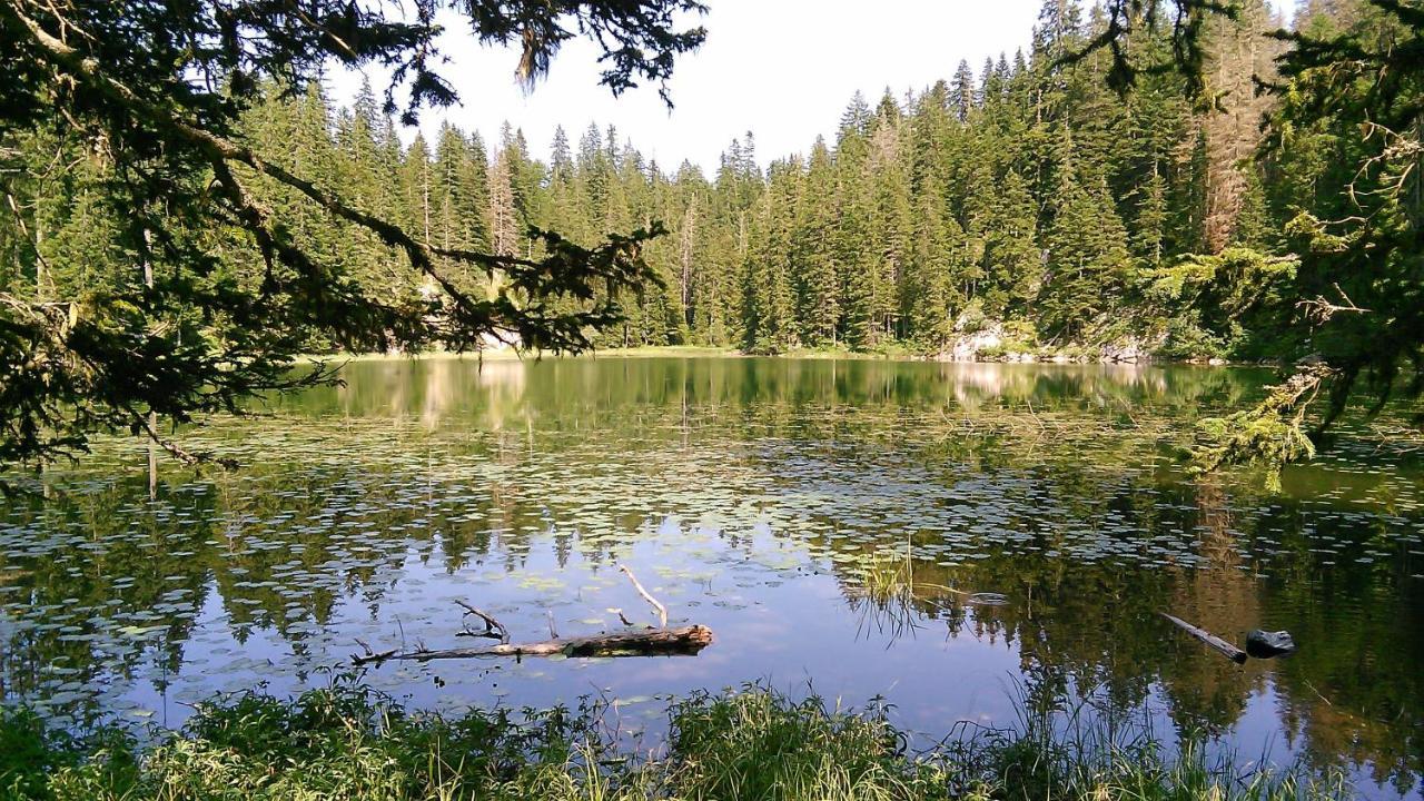 Cottage Bosaca Žabljak Eksteriør billede