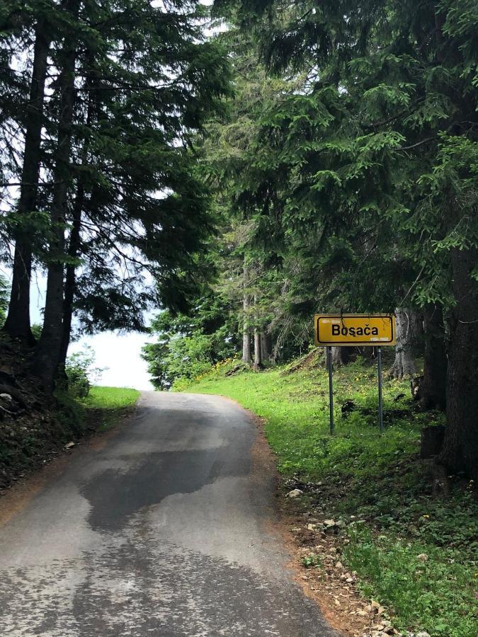 Cottage Bosaca Žabljak Eksteriør billede