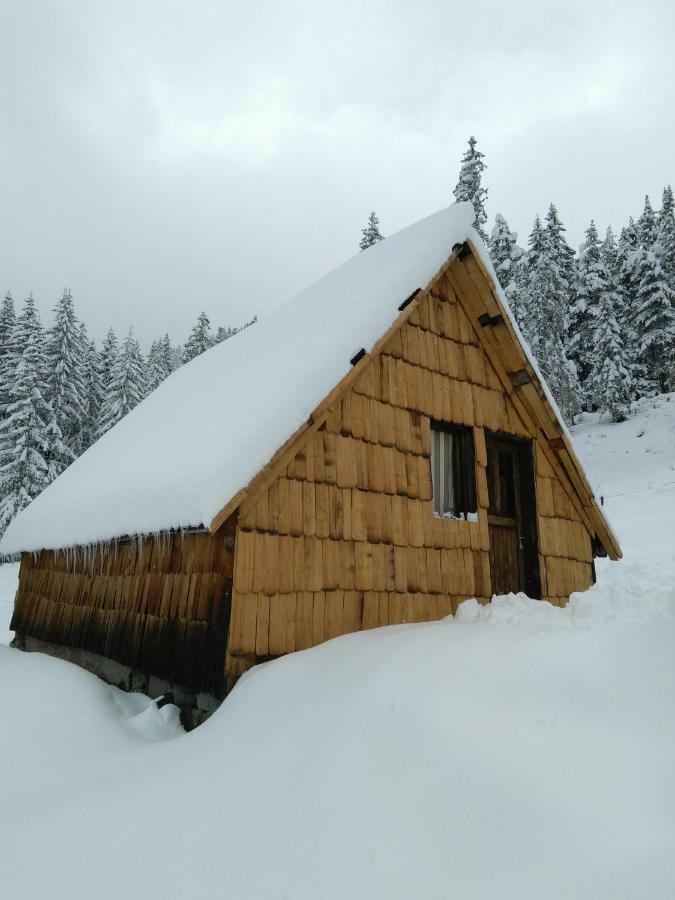 Cottage Bosaca Žabljak Eksteriør billede