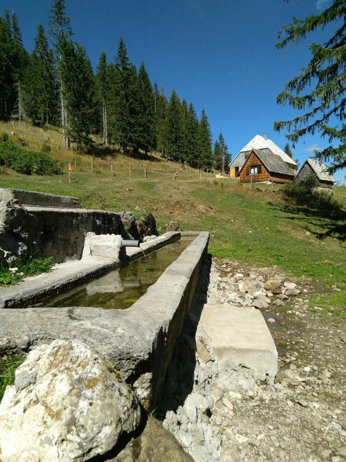Cottage Bosaca Žabljak Eksteriør billede